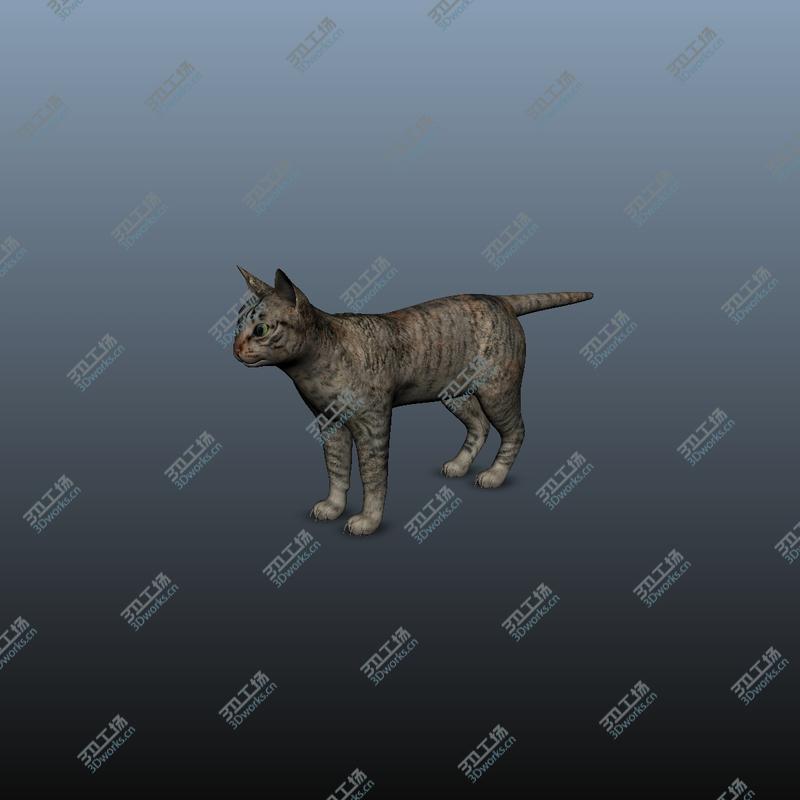images/goods_img/202104092/Cat - Rigged, Animated 3D/5.jpg